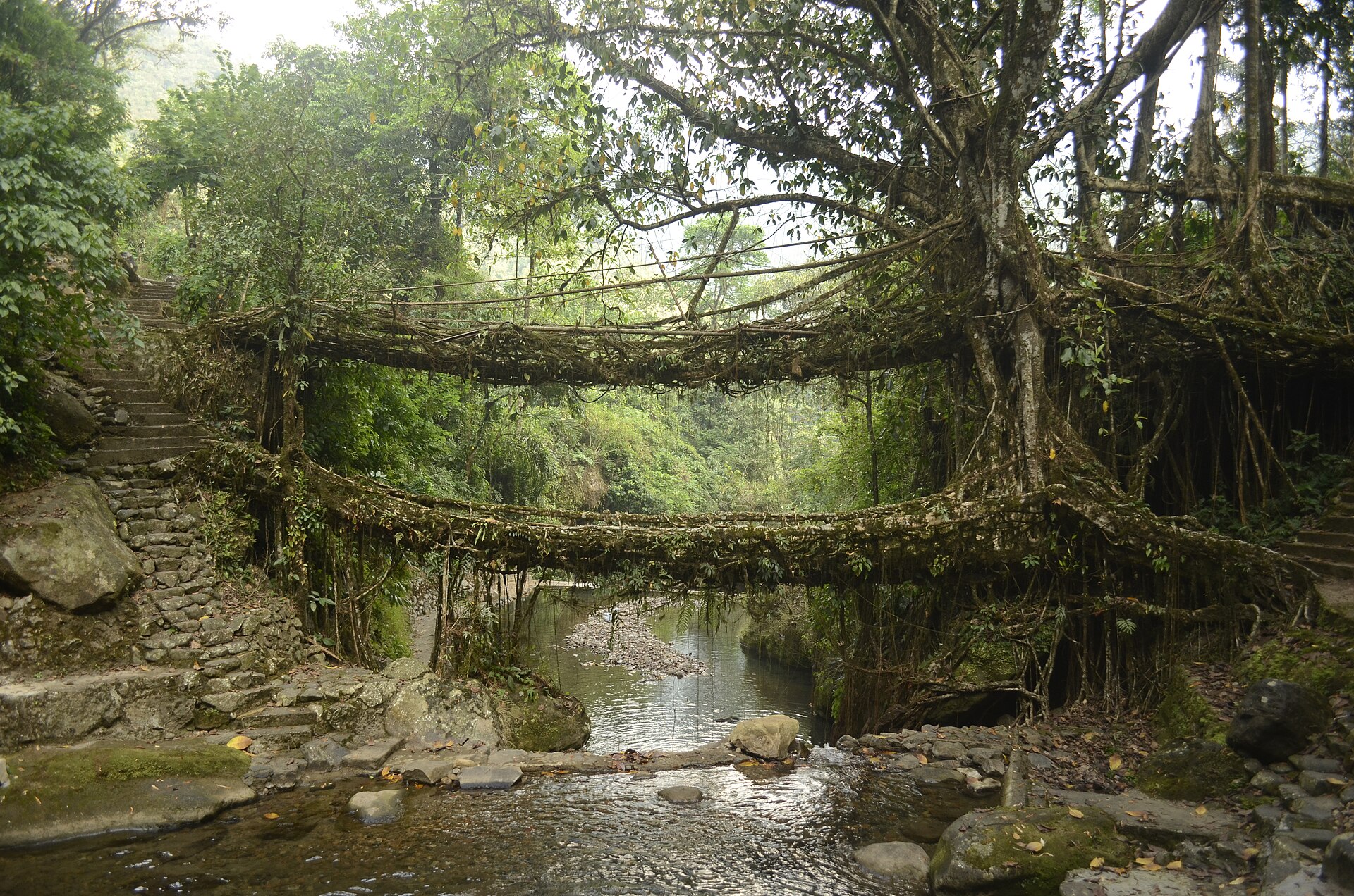 Meghalaya Arunachal